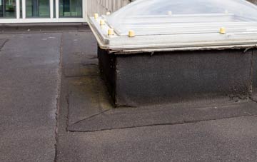 disadvantages of Burlish Park flat roofs
